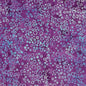 Blank Ocean Mandala Batiks - Sea Foam - Black Rabbit Fabric Inc.
