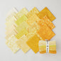 PRE-ORDER Fat Quarter Bundle - I've Got Hue, Babe